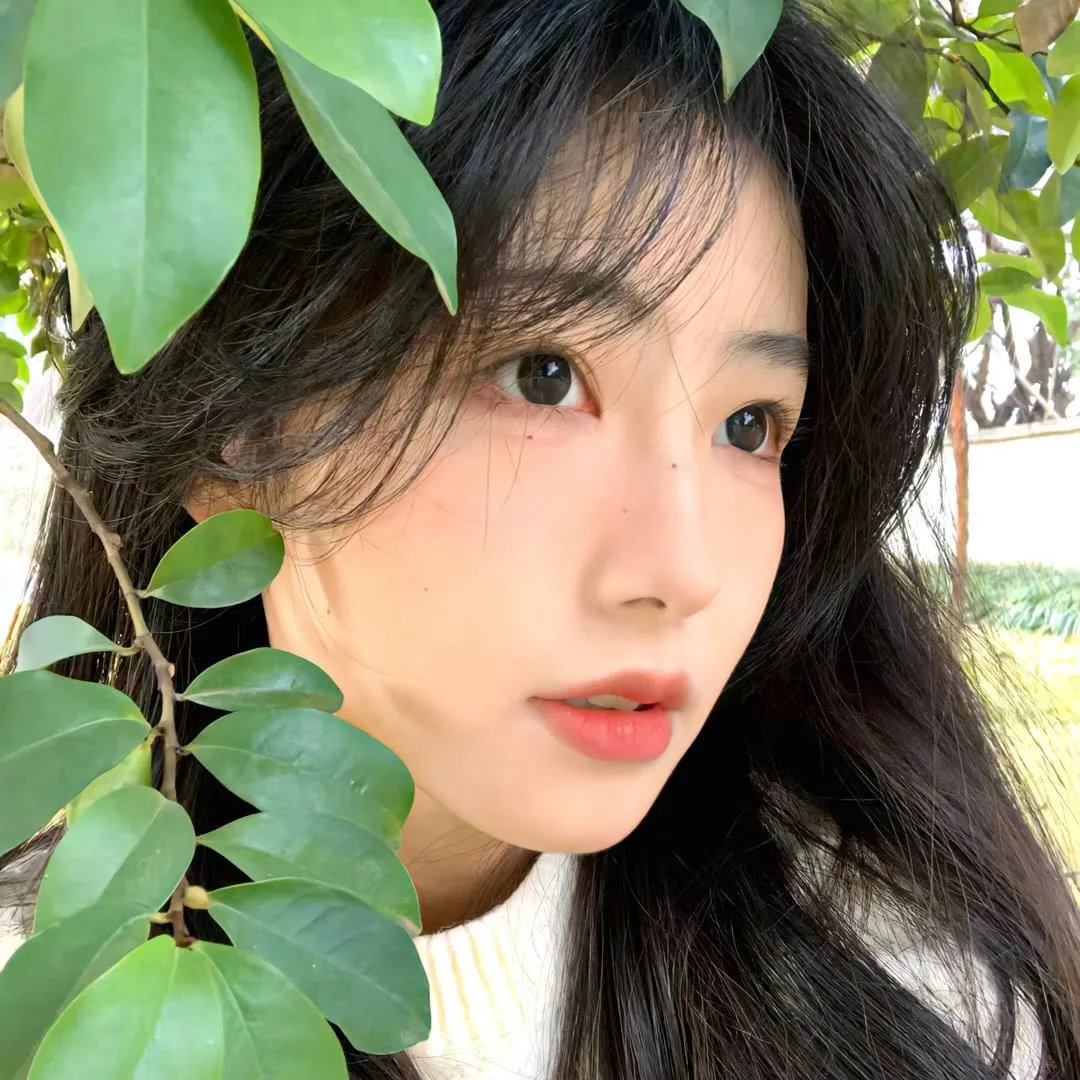 冷宫传海报